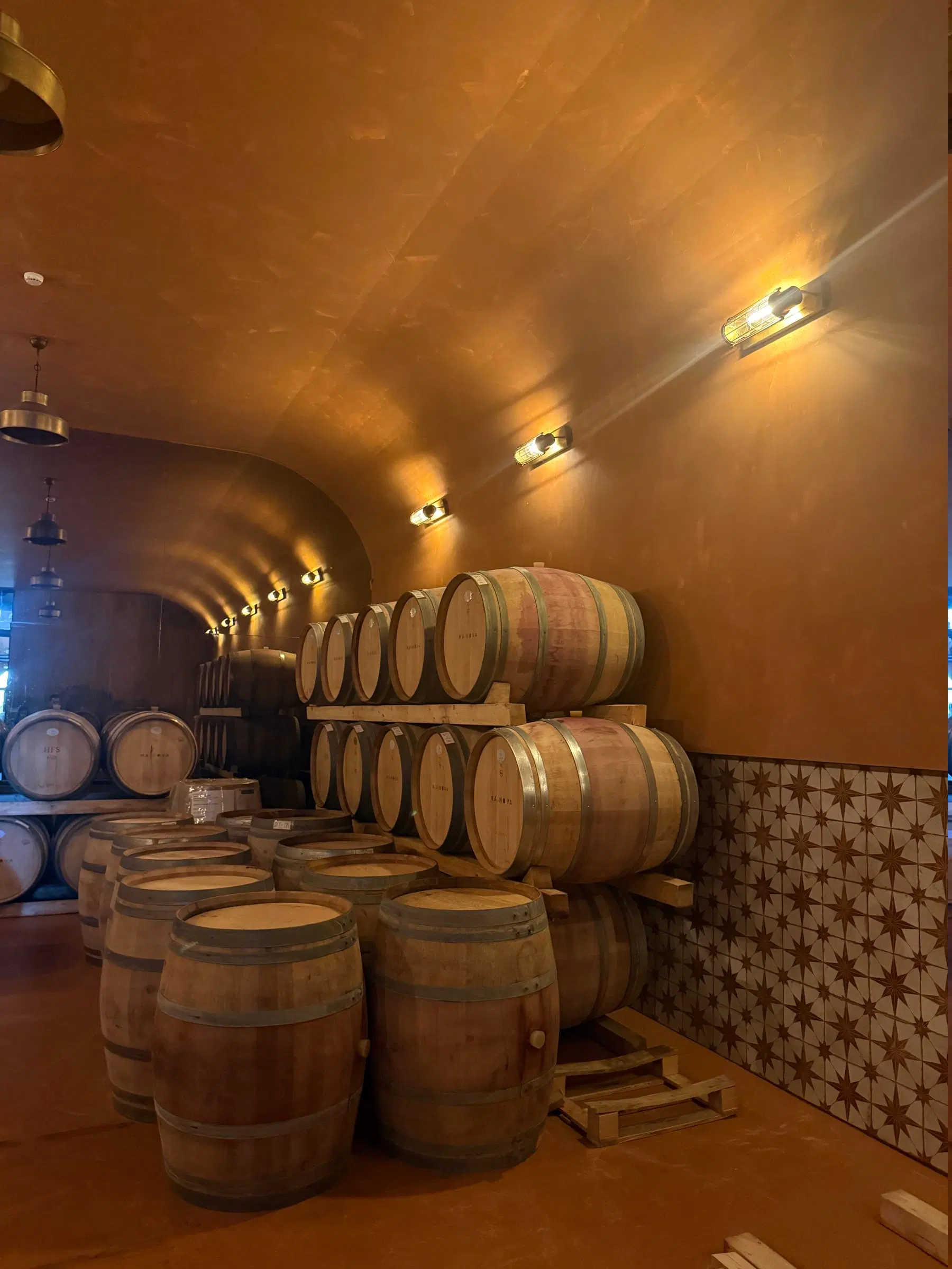 A vaulted cellar with stacked oak barrels, warmly lit.