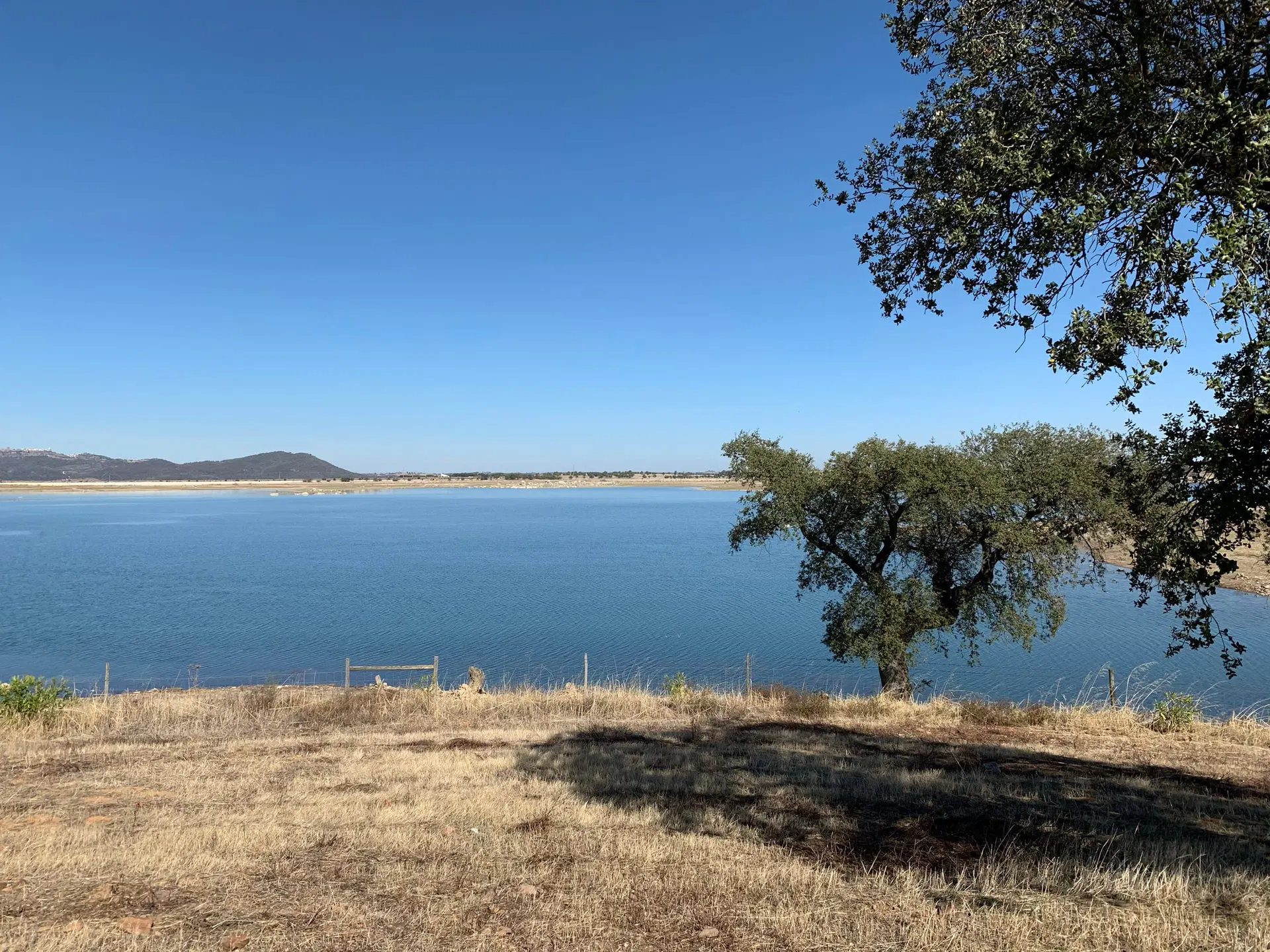 A água do Alqueva vista entre azinheiras, com a margem oposta ao longe.