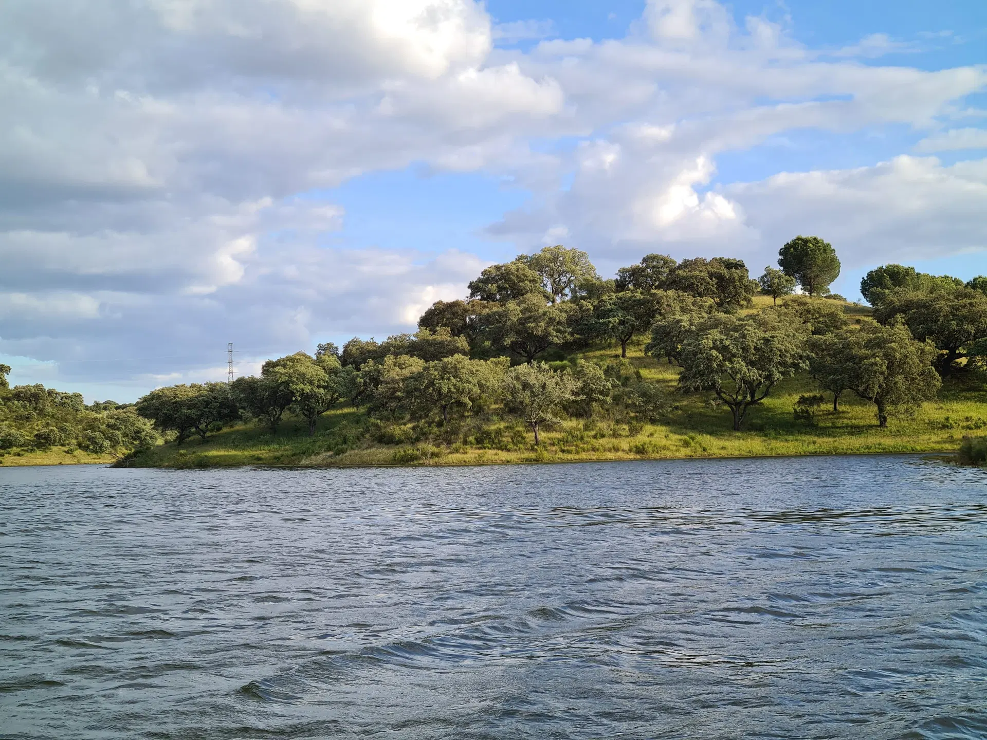 Margem verde do Alqueva, com azinheiras a chegar quase à água.