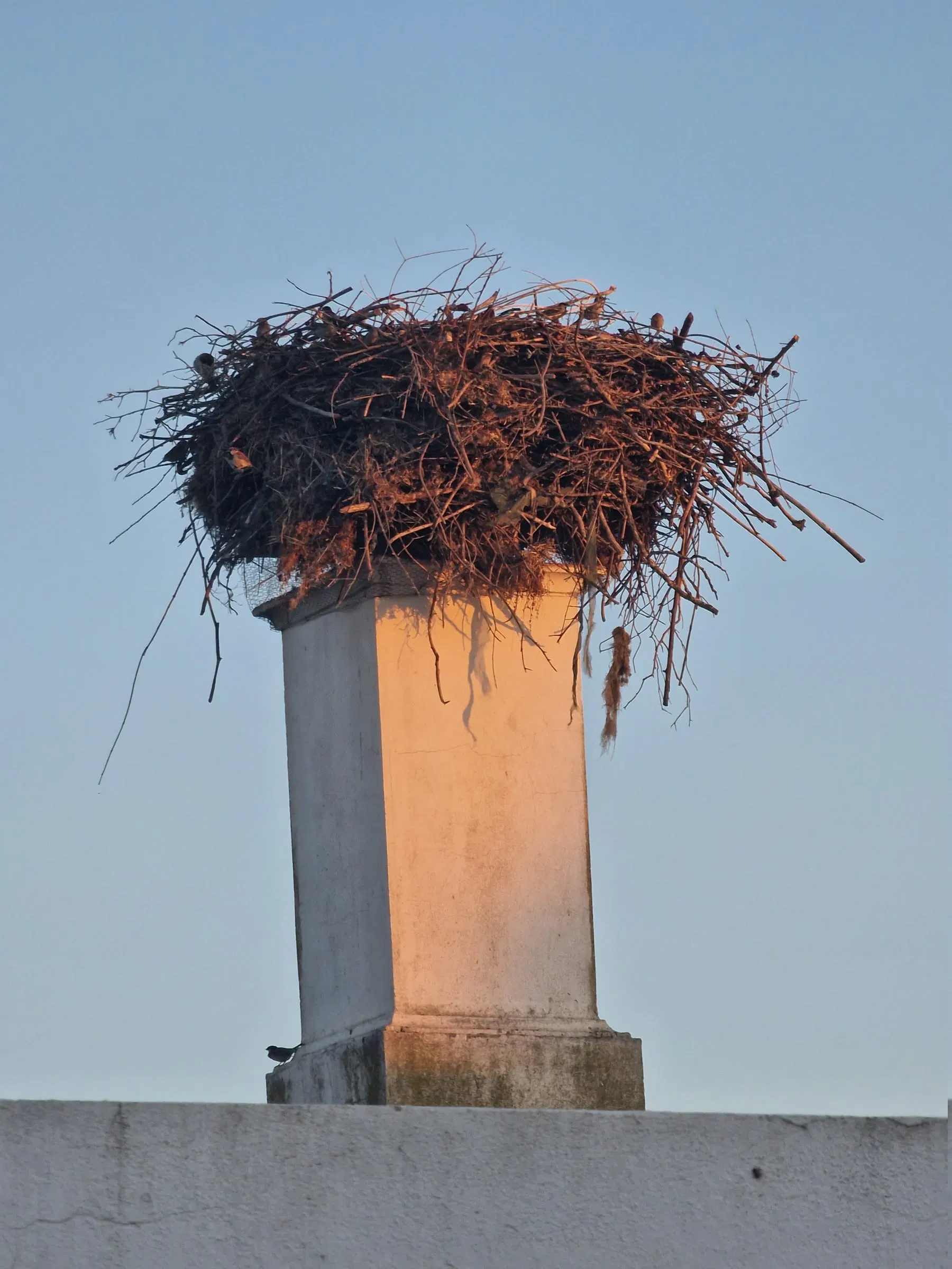 Nido de cigüeña en lo alto de una chimenea blanca, contra el cielo limpio.
