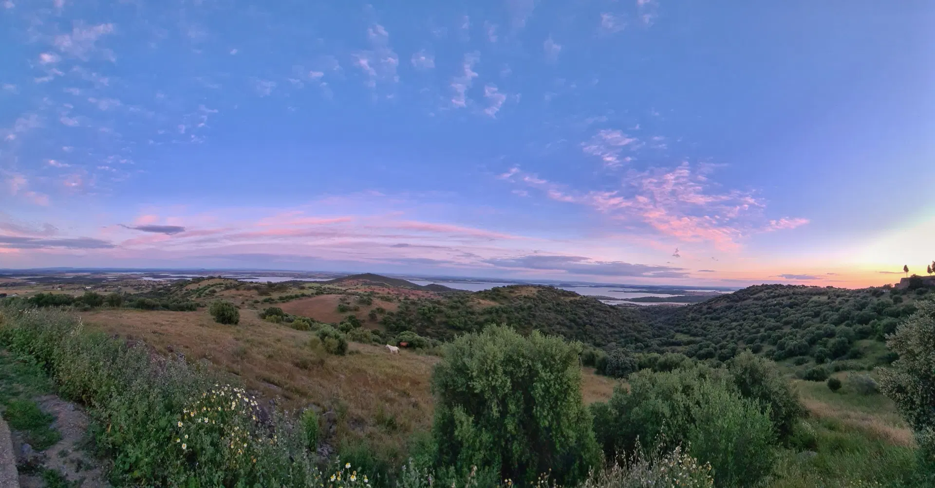The plain at dusk, the sky turning from blue to pink over the hills.