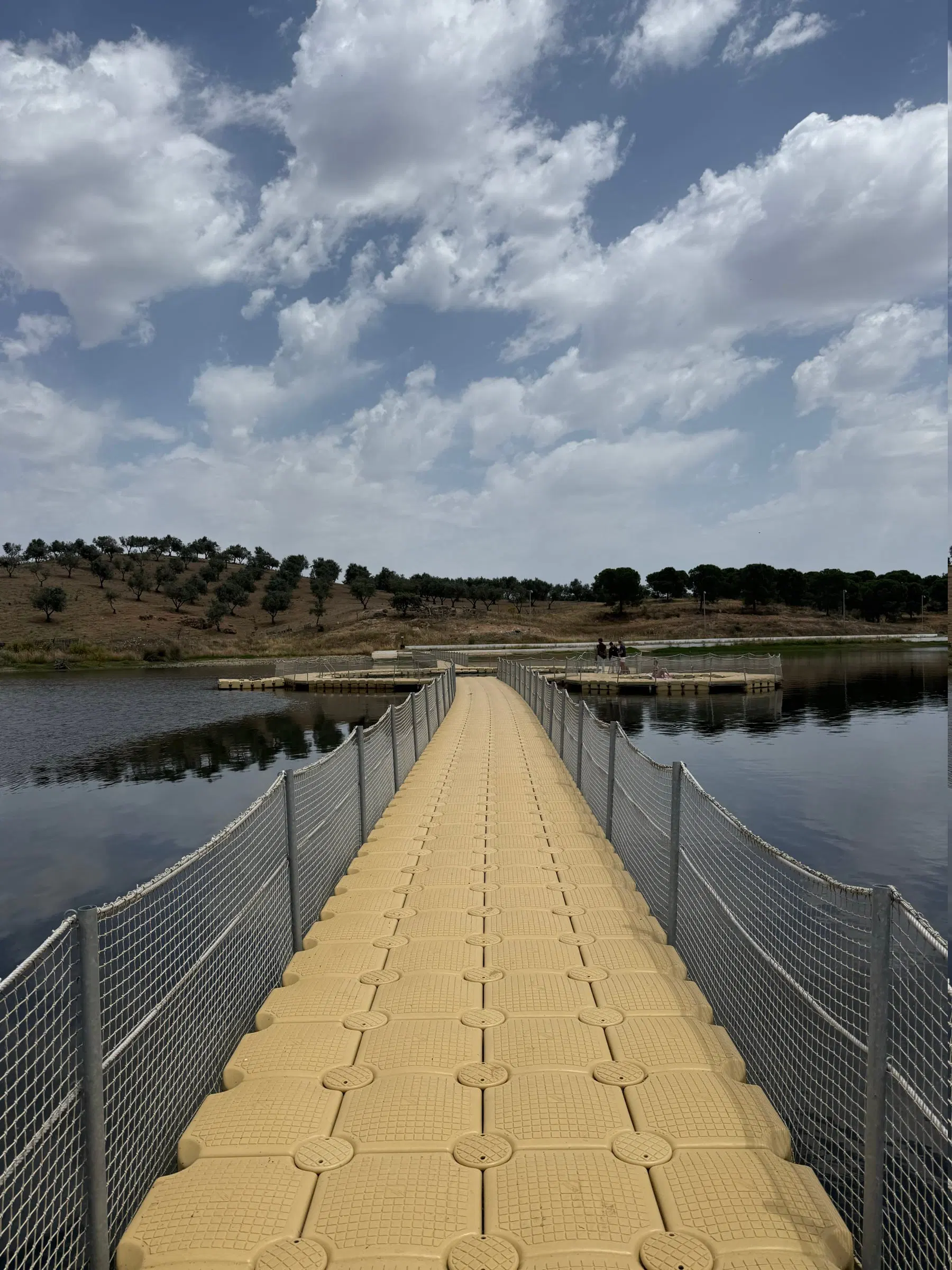 Ponte flutuante de madeira a atravessar um braço do lago, entre margens de oliveiras.