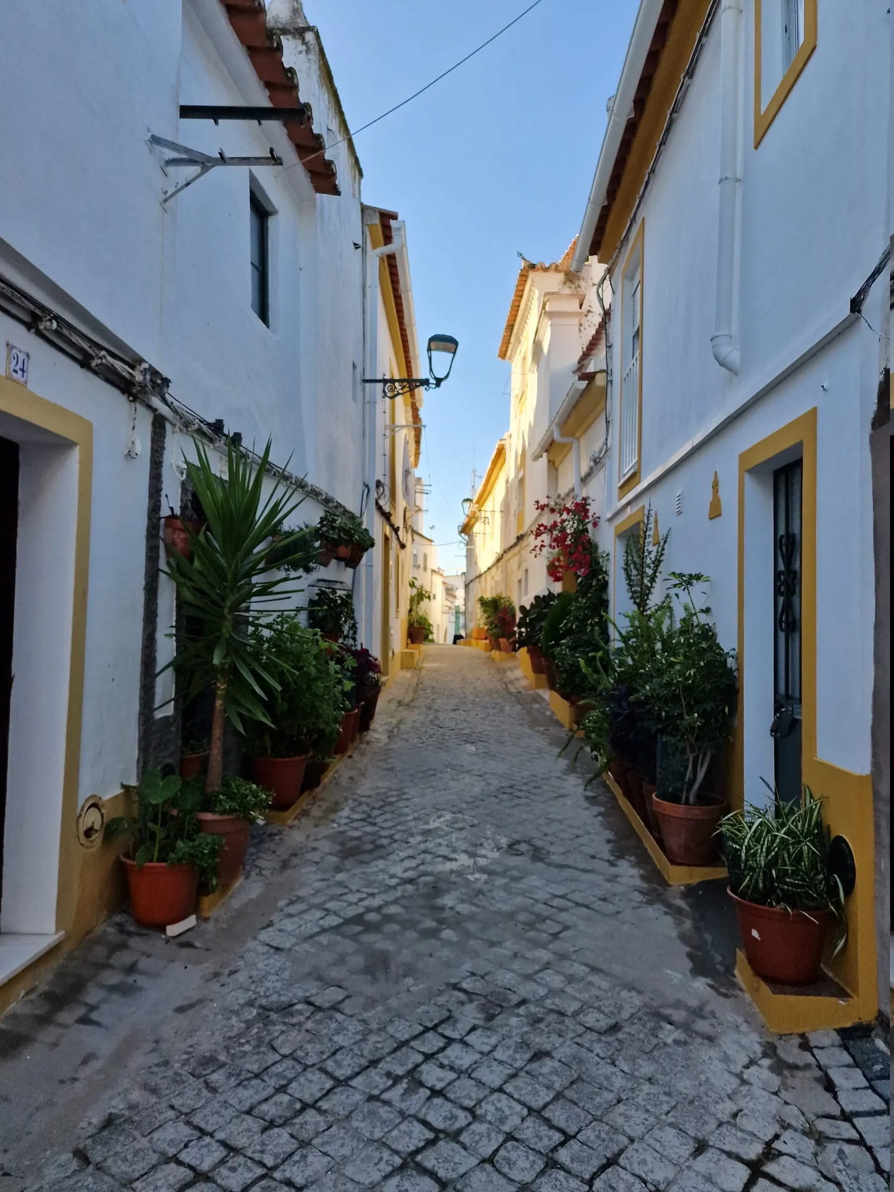Rua estreita no centro histórico de Elvas, com vasos de plantas às portas.