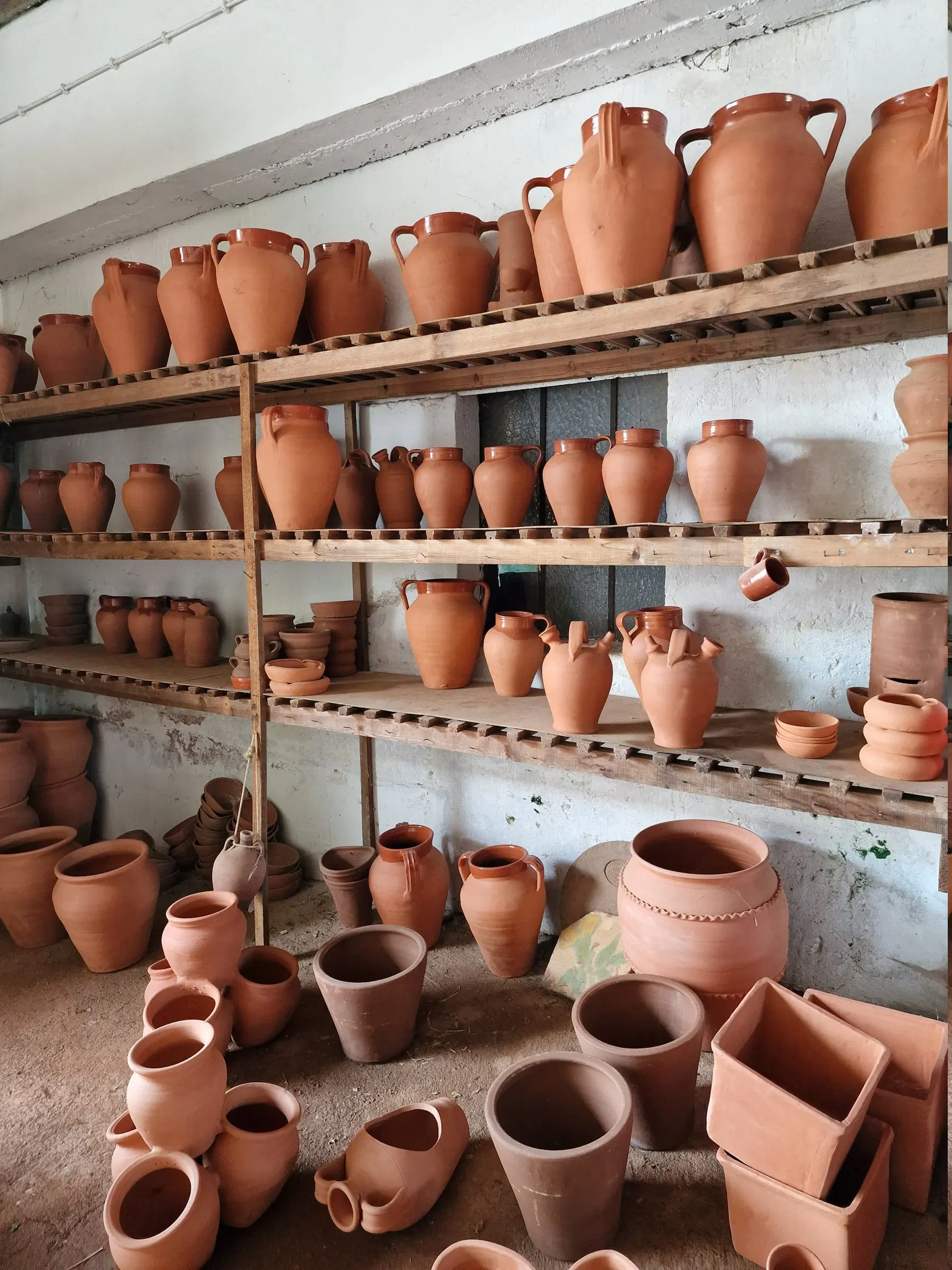 Talhas e potes de barro cru alinhados em prateleiras, numa olaria.