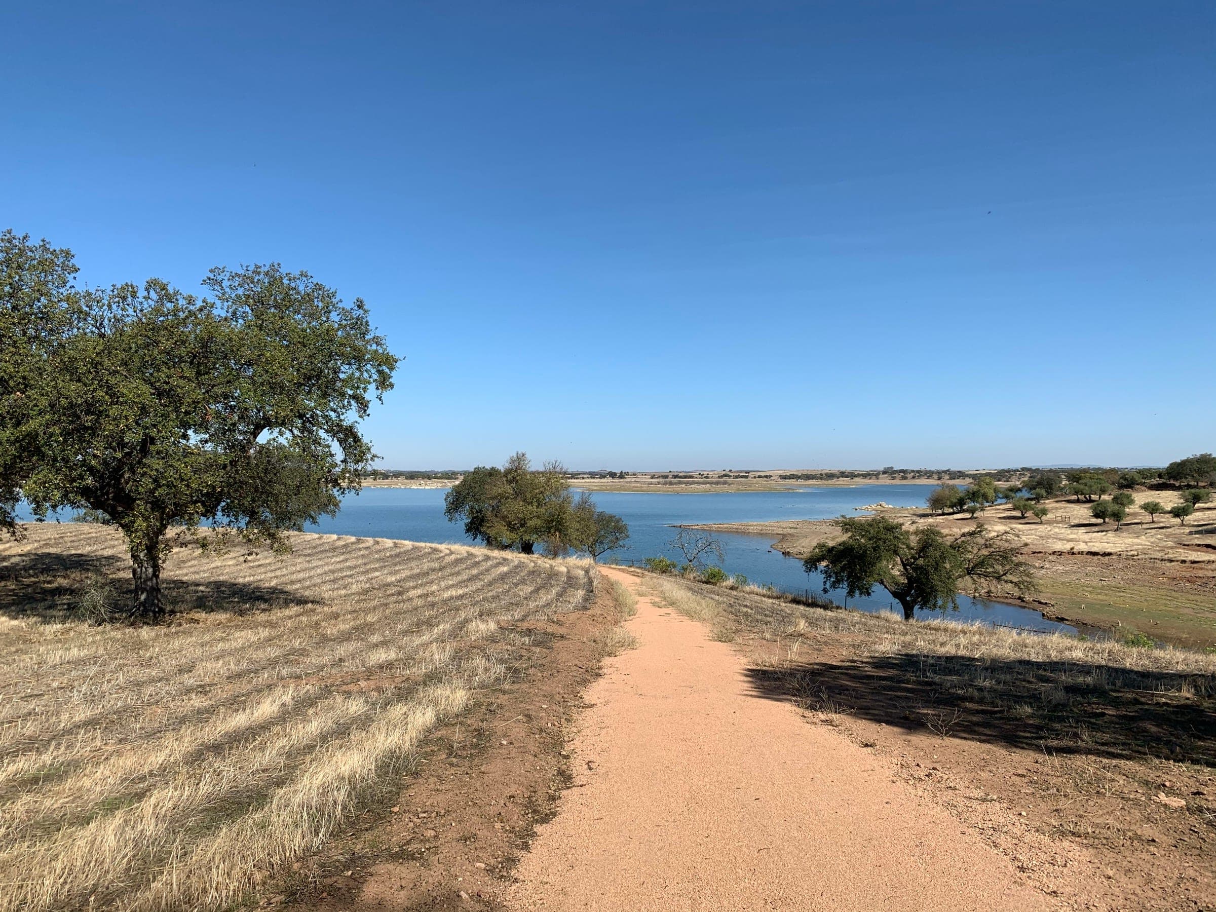 A dirt track dropping down to the Alqueva shore, between stubble and scattered olive trees.