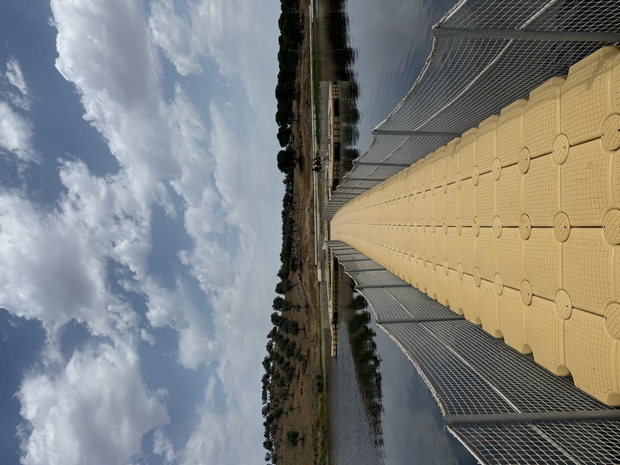 A floating wooden bridge crossing an arm of the lake, between banks of olive trees.