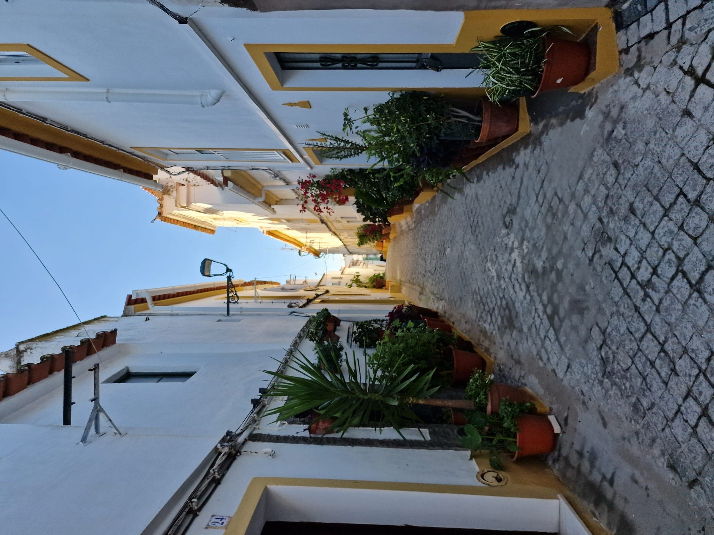 Rua estreita no centro histórico de Elvas, com vasos de plantas às portas.