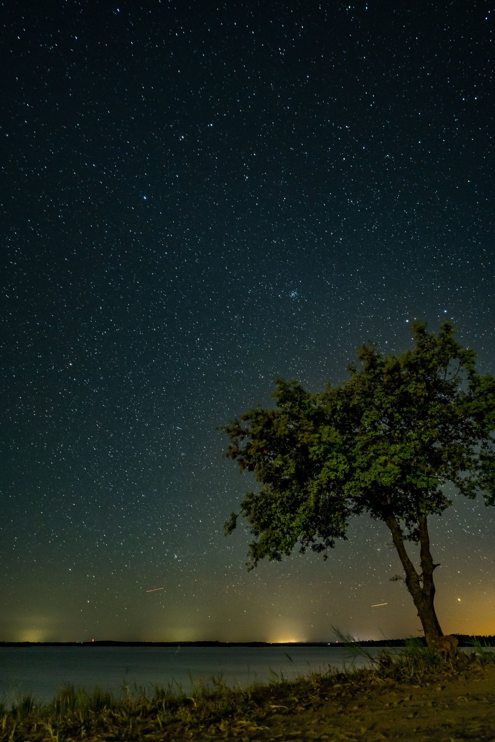 Cielo cuajado de estrellas sobre el lago de Alqueva, con la silueta de una encina a la derecha y el resplandor tenue de un pueblo en el horizonte.